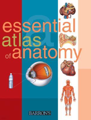 Essential Atlas of Anatomy