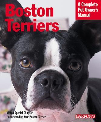 Boston Terriers