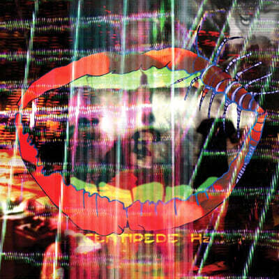 Animal Collective (애니멀 컬렉티브) - 9집 Centipede Hz [2LP]