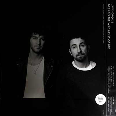 Japandroids — Near To The Wild 앨범 커버