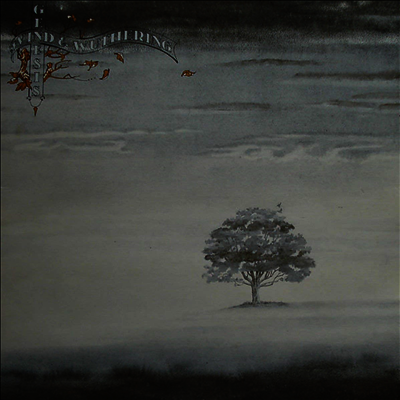 Genesis - Wind & Wuthering (2018 Reissue Vinyl LP)