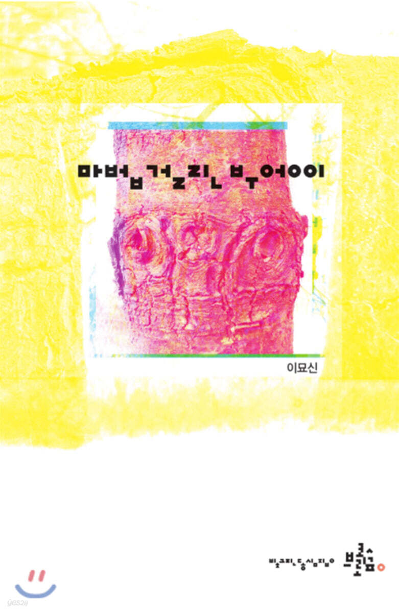 마법 걸린 부엉이