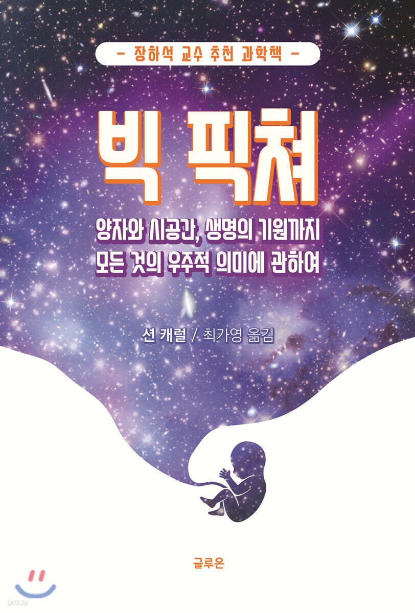 빅 픽쳐