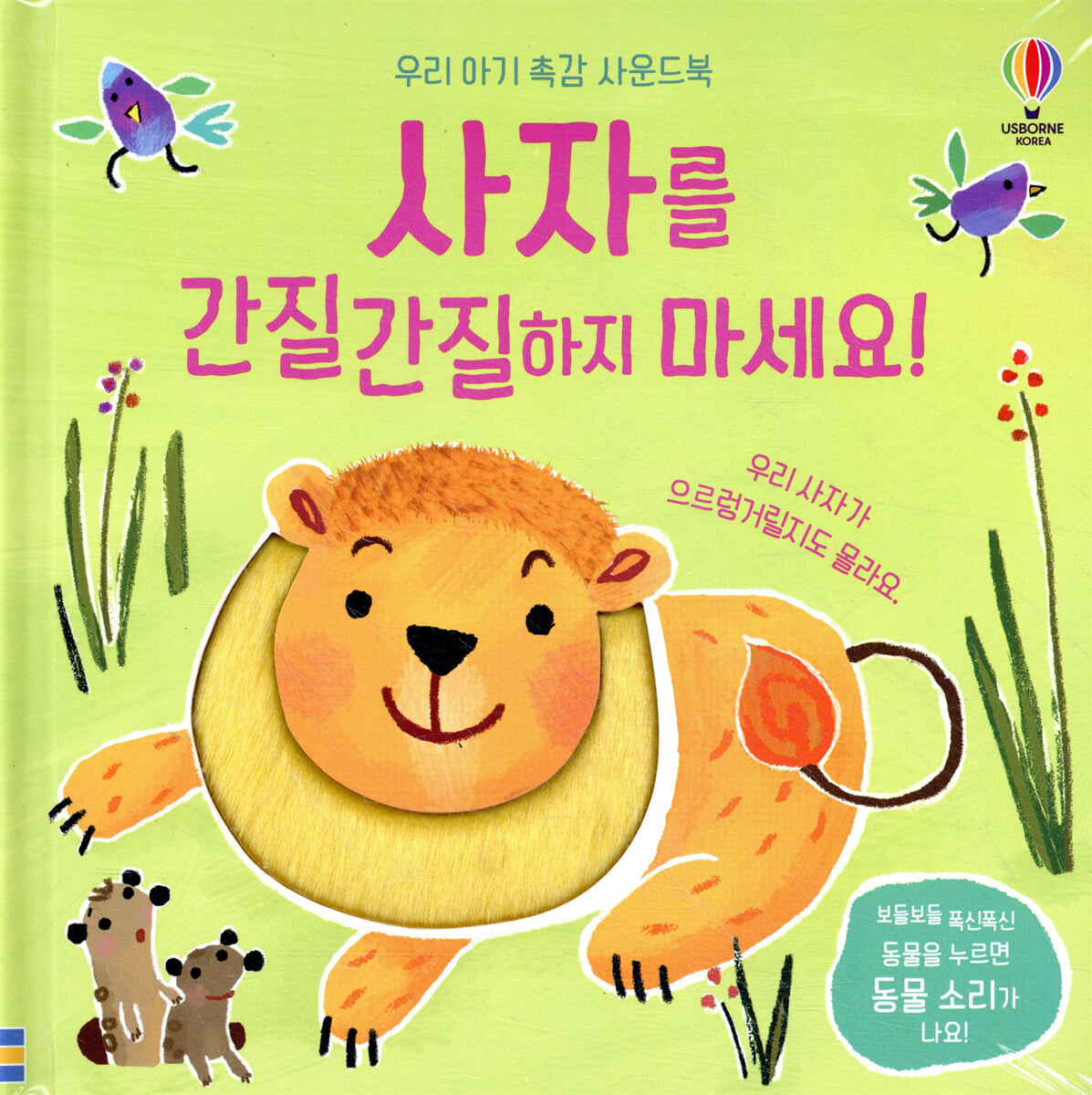 사자를 간질간질하지 마세요!