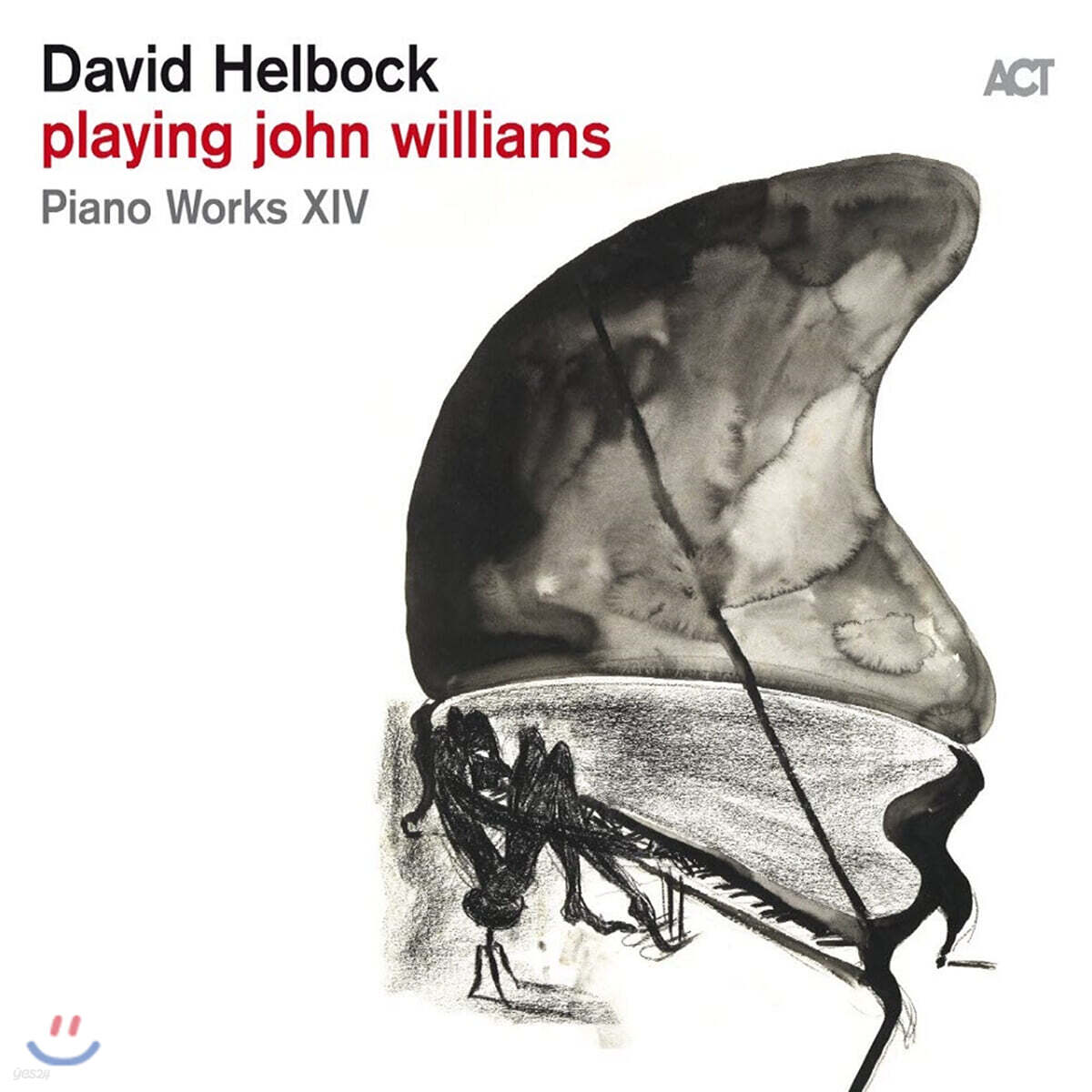 David Helbock (다비드 헬복) - Playing John Williams