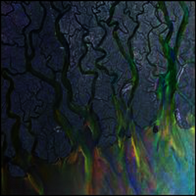 alt-J - An Awesome Wave (LP)