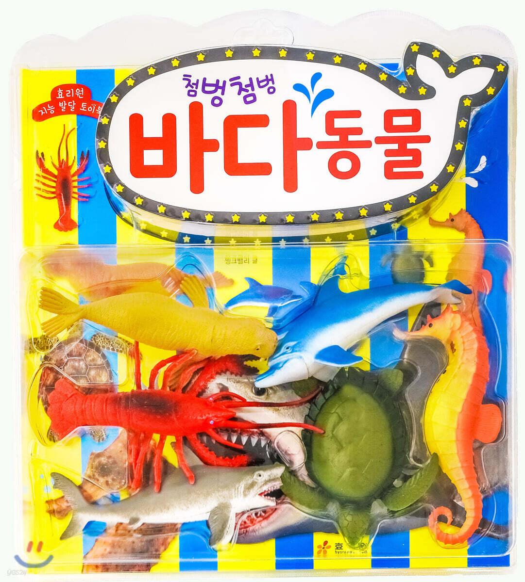 첨벙첨벙 바다 동물