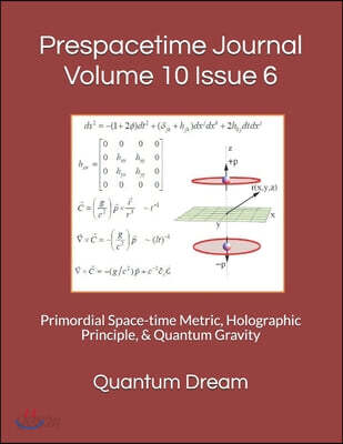 Prespacetime Journal Volume 10 Issue 6: Primordial Space-time Metric, Holographic Principle, & Quantum Gravity