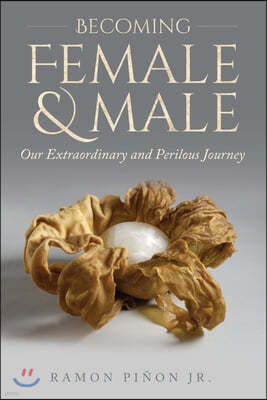 Becoming Female and Male: Our Extraordinary and Perilous Journey