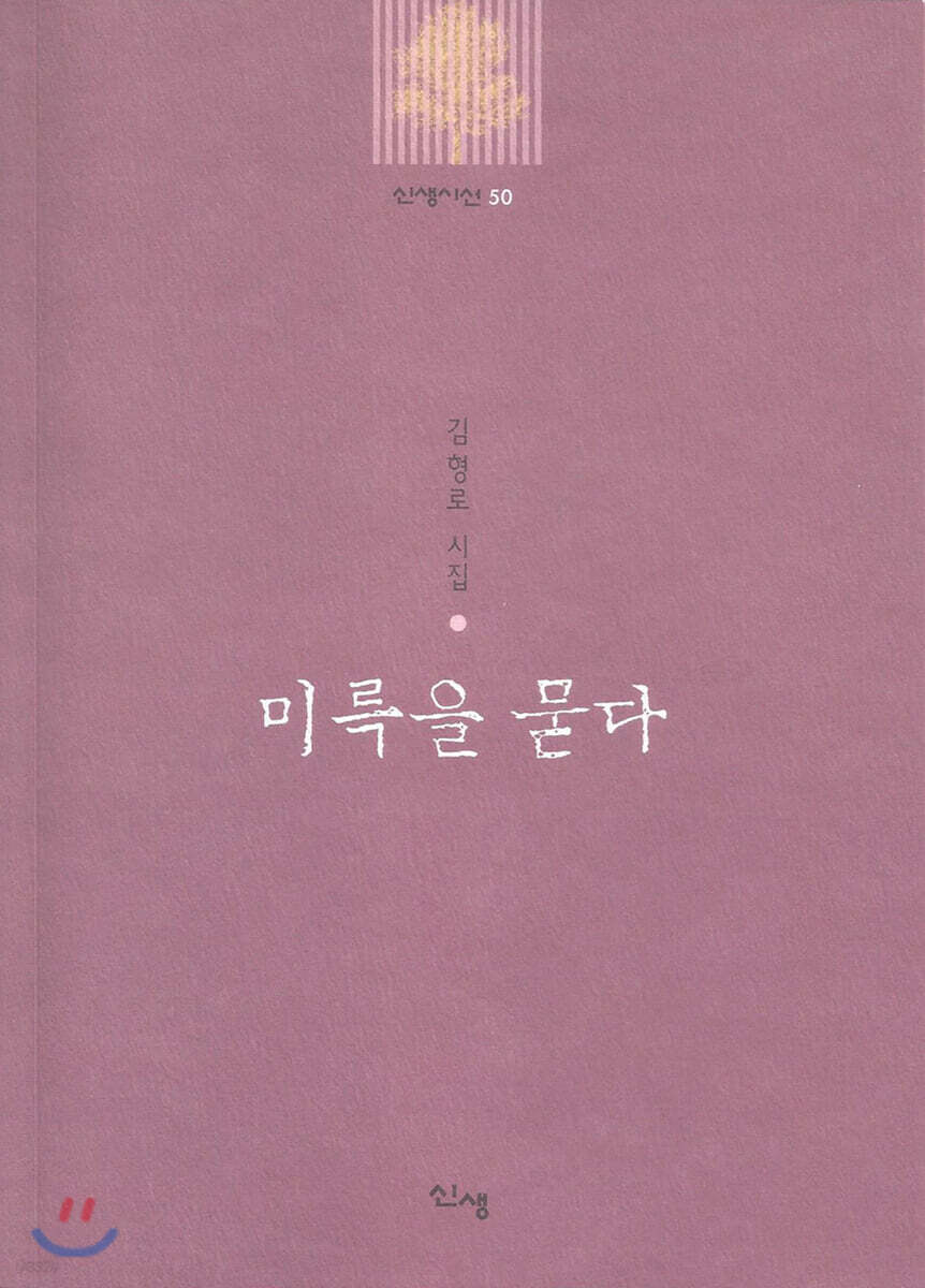 미륵을 묻다