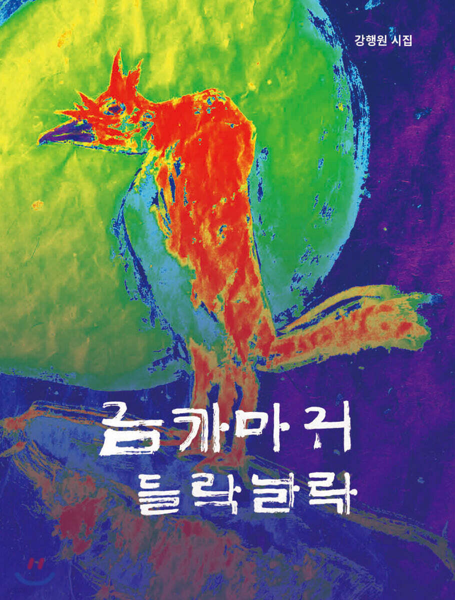금까마귀 들락날락