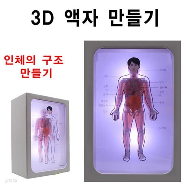 인체의 구조 3D 액자 만들기