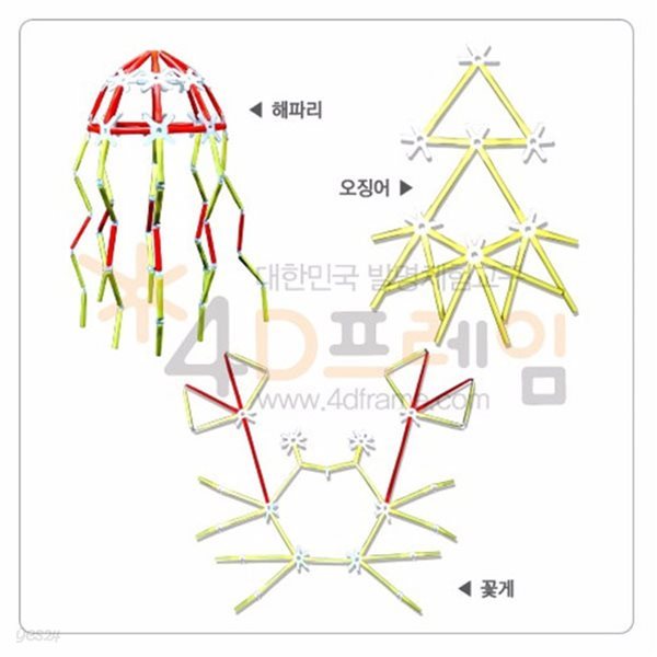 포디프레임 4D  해양생물SET