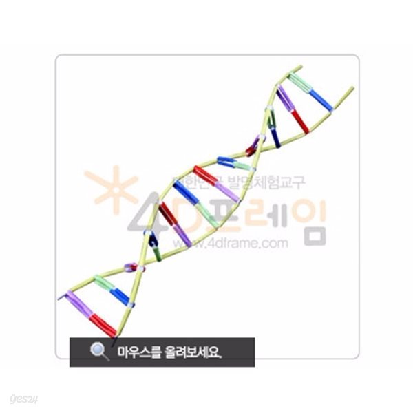 포디프레임 4D DNA 5