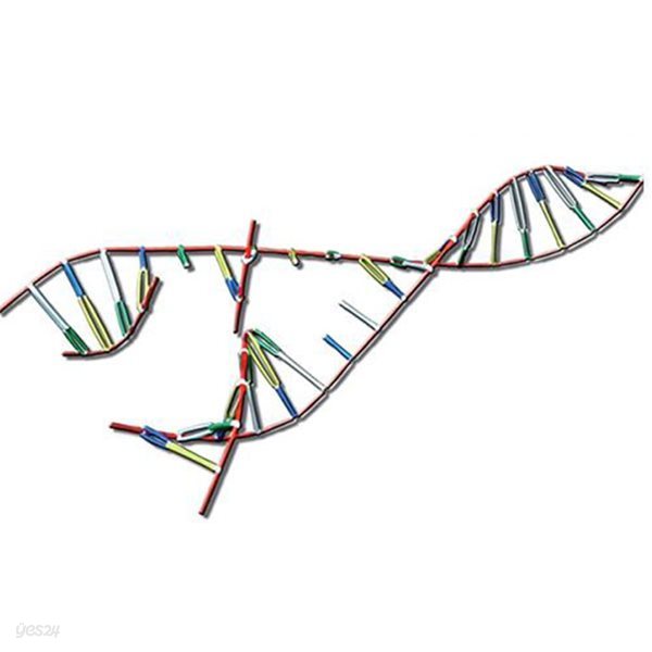 포디프레임 4D 생명체의 설계도 DNA 복제 과정