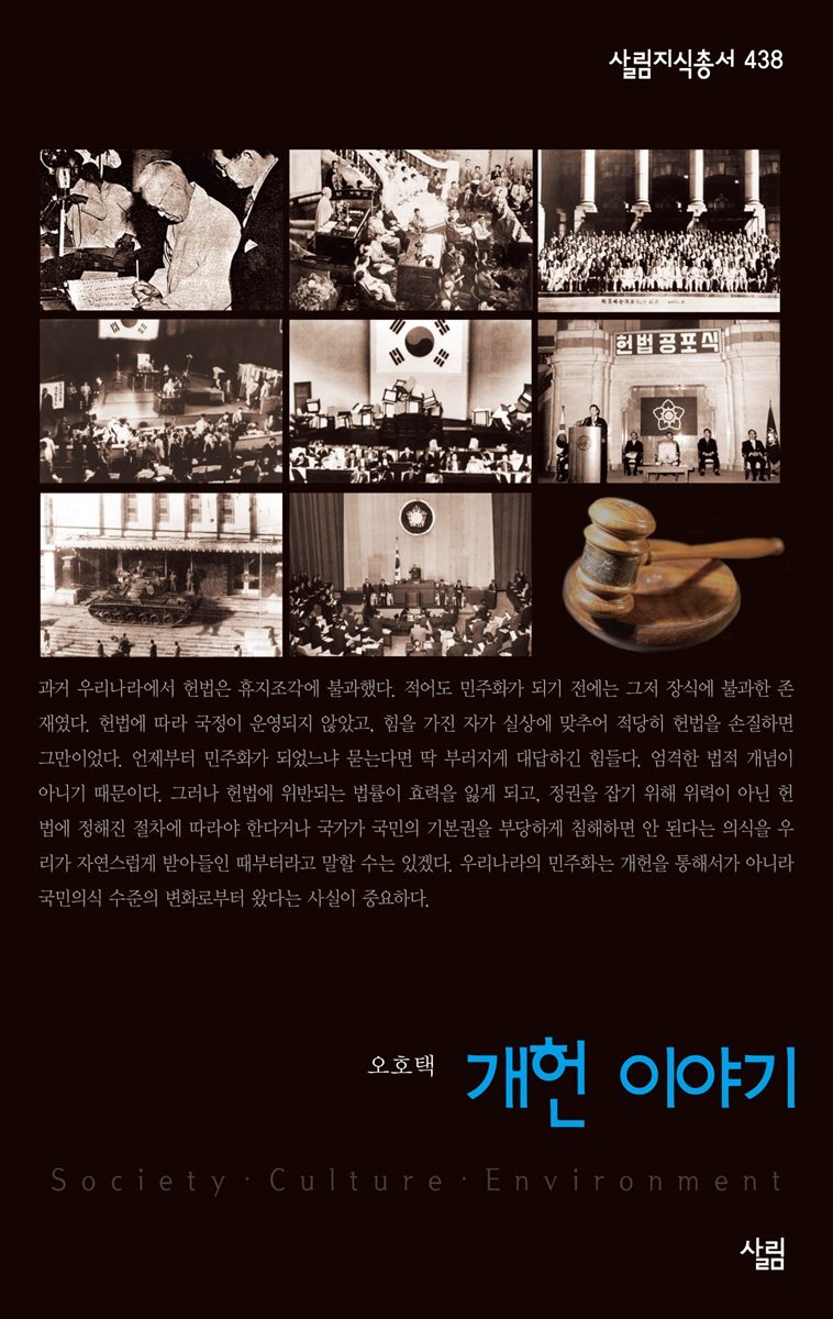 개헌 이야기 - 살림지식총서 438