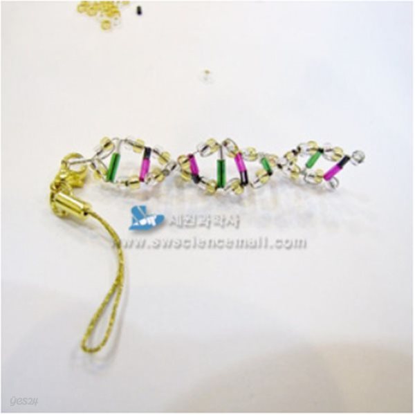 비즈 DNA 모형 만들기(10명 1SET)