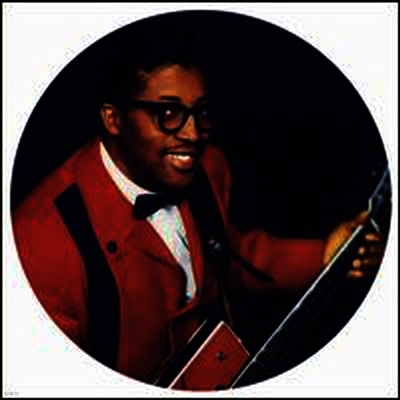 Bo Diddley — I'm a Man - Live '84 (Remastered)(Picture Disc) 앨범 커버