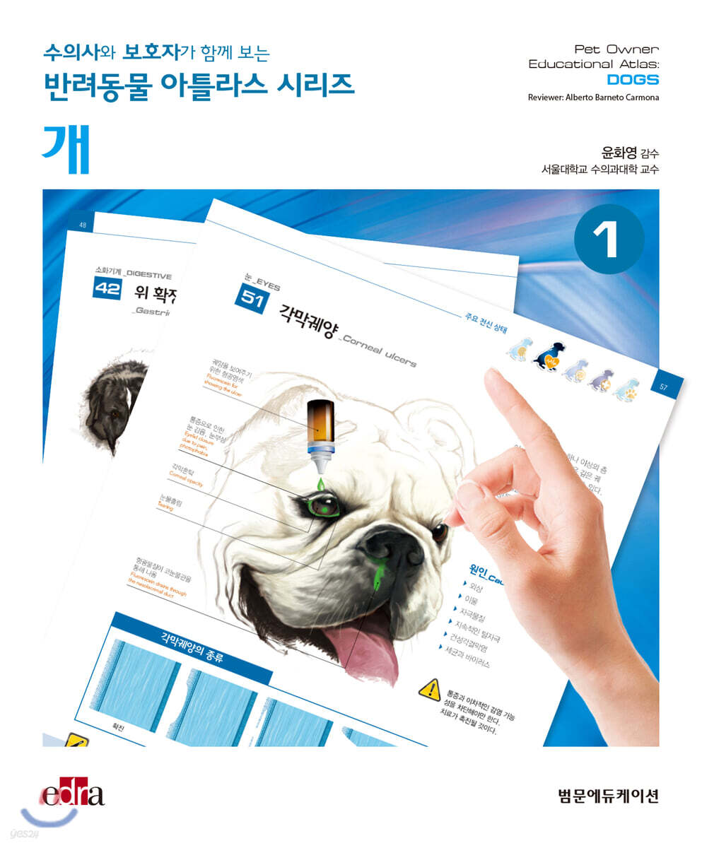 수의사와 보호자가 함께 보는 반려동물 아틀라스 시리즈 : 개