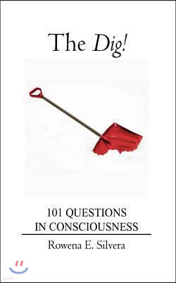 The Dig!: 101 Questions in Consciousness