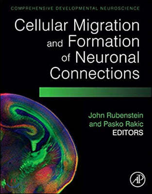 [Ǹ] Cellular Migration and Formation of Neuronal Connections