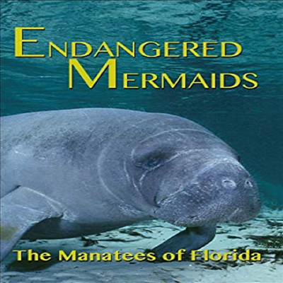 Endangered Mermaids: The Manatees Of Florida ( Ӹ) (ڵ1)(ѱ۹ڸ)(DVD-R)