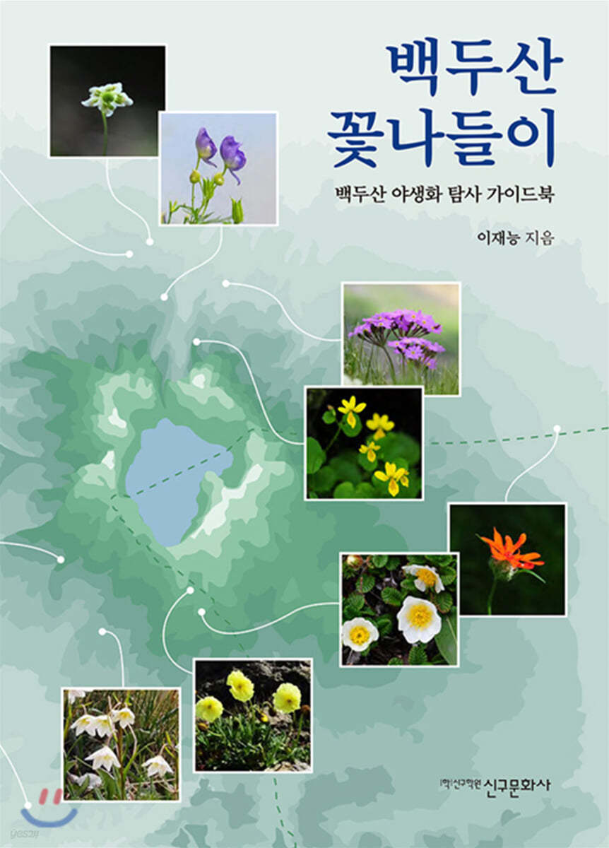 백두산 꽃나들이