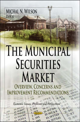 The Municipal Securities Market