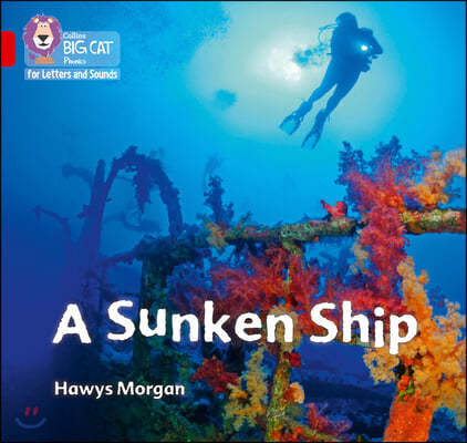 A Sunken Ship