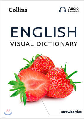 The English Visual Dictionary