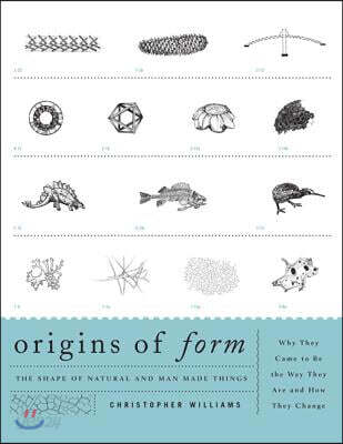 Origins of Form: The Shape of Natural and Man-made Things-Why They Came to Be the Way They Are and How They Change
