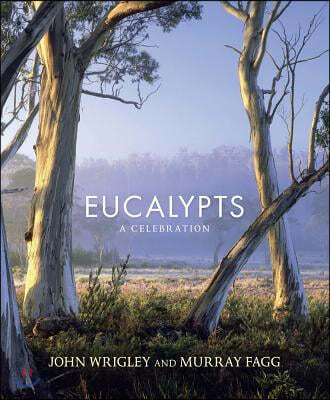 Eucalypts: A Celebration