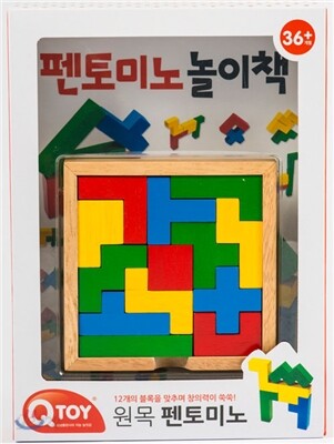 QTOY 42 원목 펜토미노