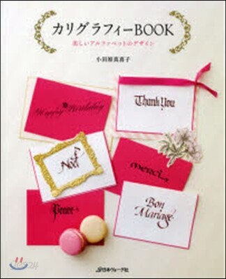 カリグラフィ-BOOK 美しいアルファベ