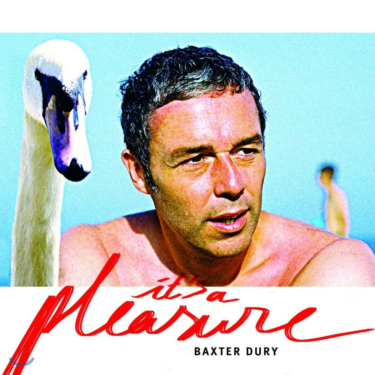 Baxter Dury (백스터 더리) - It's a Pleasure