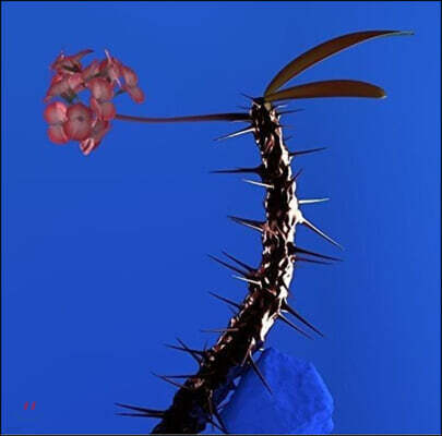 Flume — Skin Companion EP II 앨범 커버