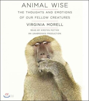 Animal Wise