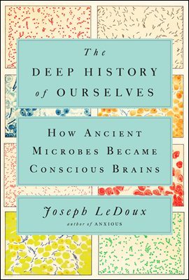 The Deep History of Ourselves