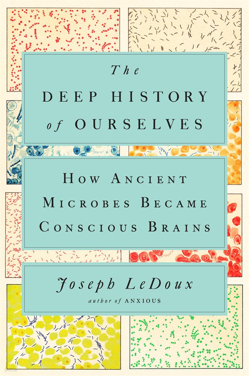 The Deep History of Ourselves