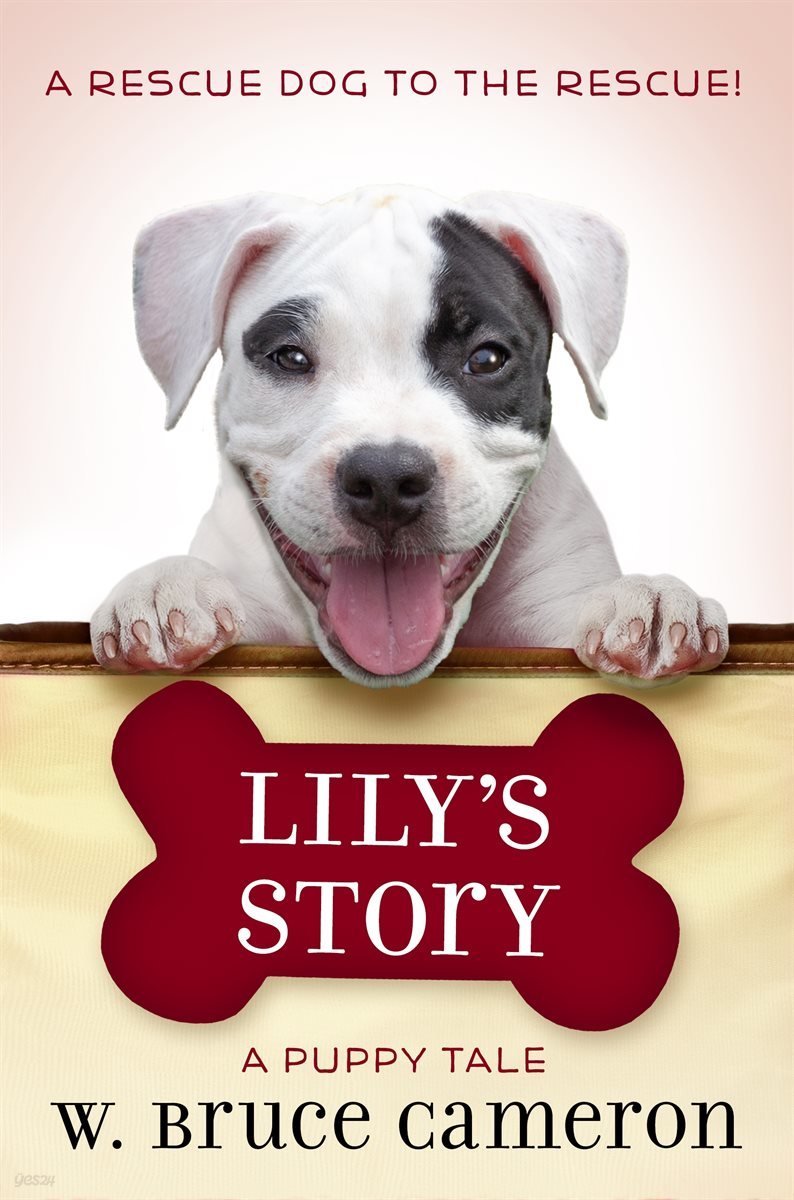 Lily&#39;s Story