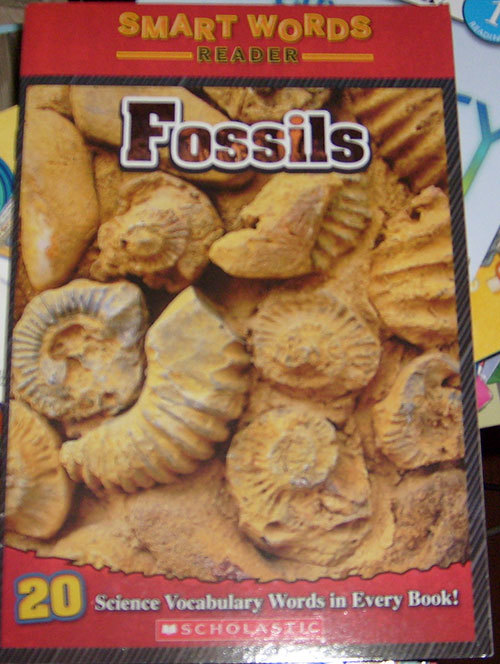 Fossils(Smart Words Reader)