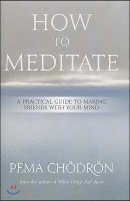 How to Meditate: A Practical Guide to Making Friends with Your Mind