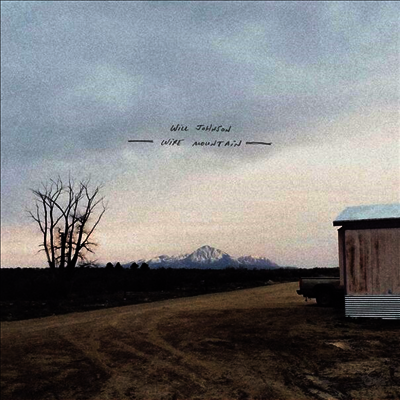 Will Johnson — Wire Mountain 앨범 커버