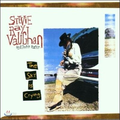 Stevie Ray Vaughan & Double Trouble - Sky Is Crying