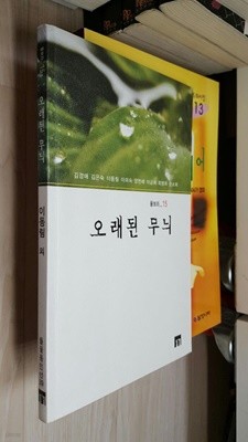 오래된 무늬/ 들꽃동인선 39/ 물보라 15       