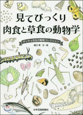 見てびっくり 肉食と草食の動物學