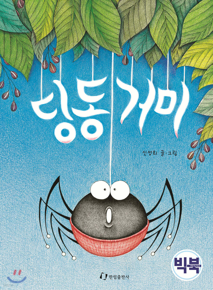 딩동거미 (빅북)