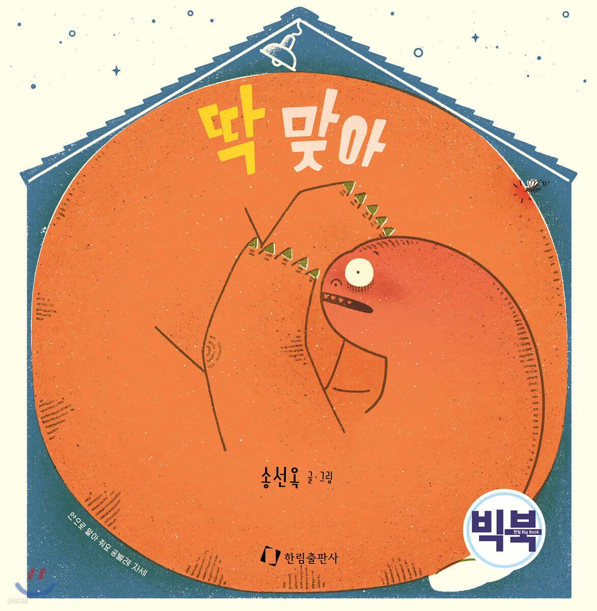 딱 맞아 (빅북)