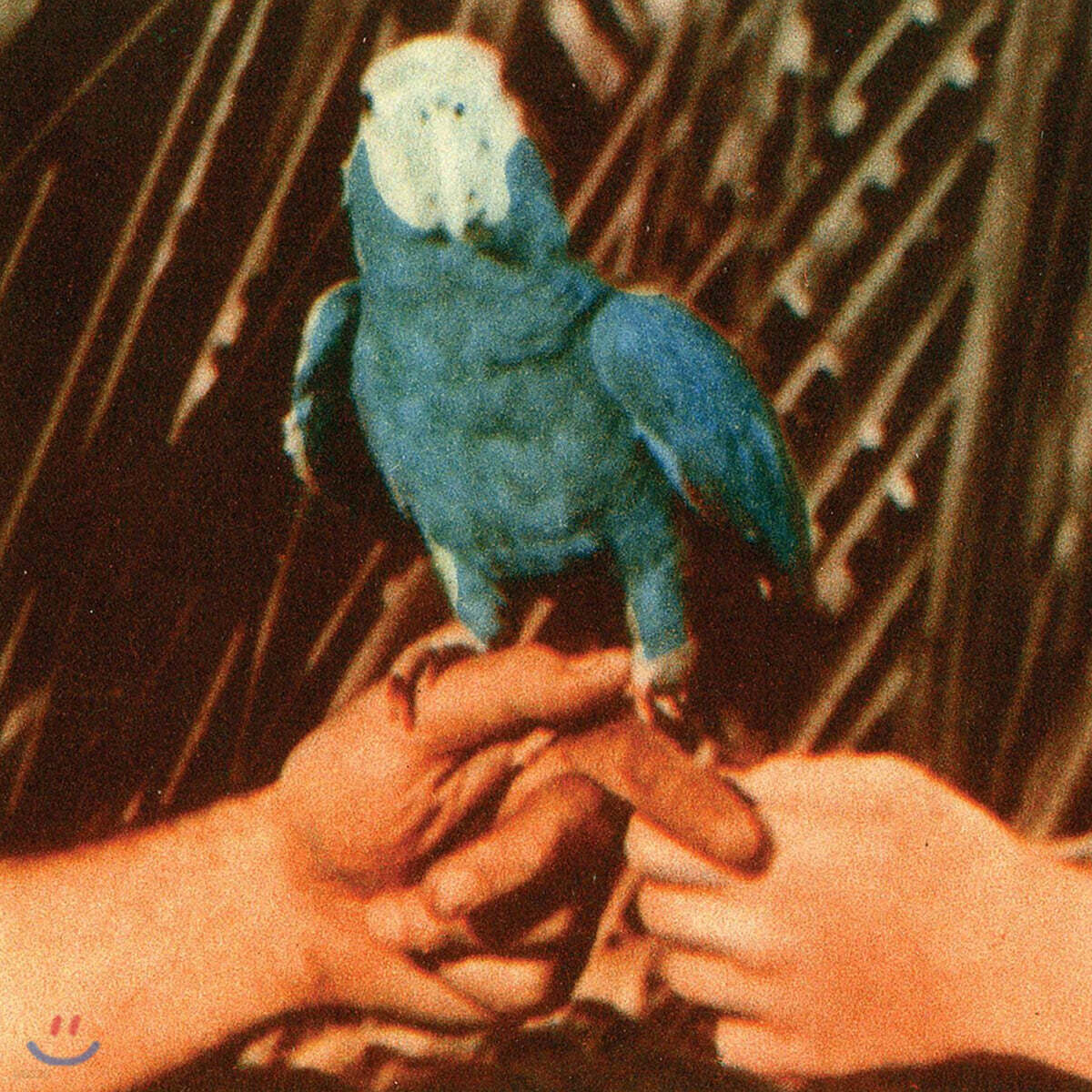 Andrew Bird (앤드류 버드) - Are You Serious