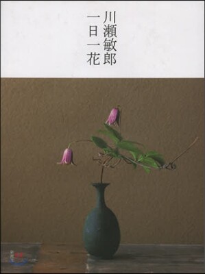 川瀨敏郞 一日一花